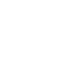 drupal_icon