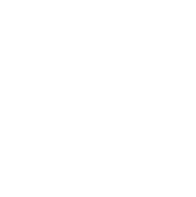 symfony_icon