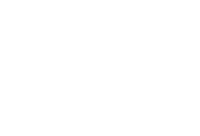 woocommerce_icon
