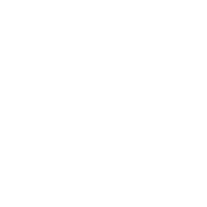 wordpress_icon